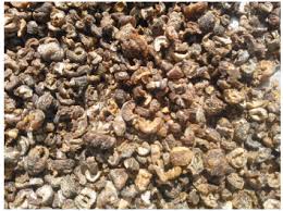 Cardamom Husk