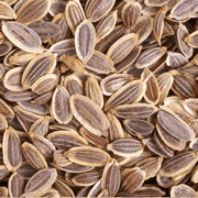 Dill-Seeds